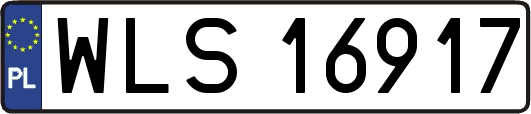 WLS16917
