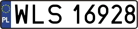 WLS16928