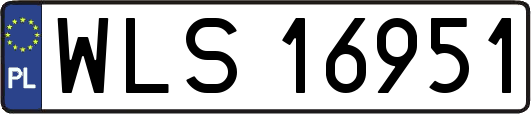 WLS16951