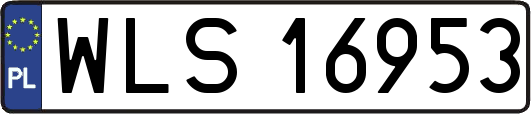 WLS16953
