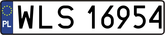 WLS16954