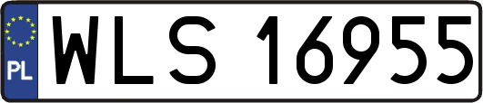 WLS16955