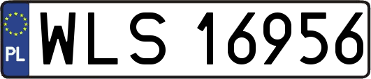 WLS16956