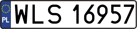 WLS16957