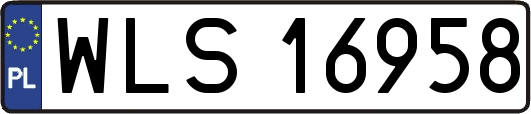 WLS16958