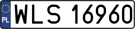 WLS16960