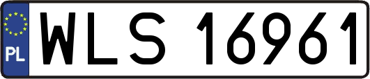 WLS16961