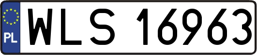 WLS16963