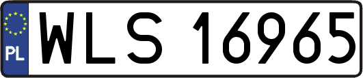 WLS16965