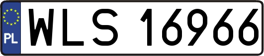 WLS16966