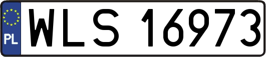 WLS16973