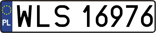 WLS16976