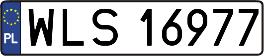 WLS16977