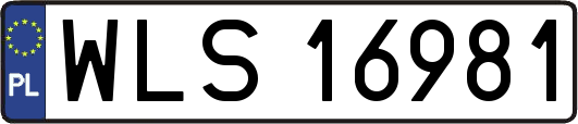 WLS16981