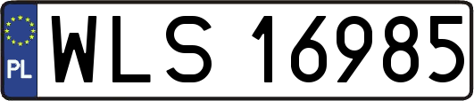 WLS16985