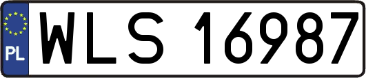 WLS16987