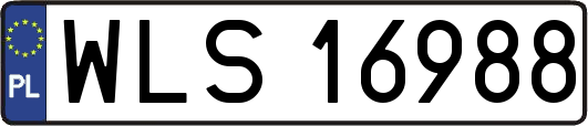 WLS16988