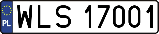WLS17001