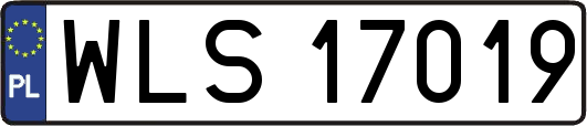 WLS17019