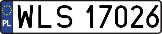 WLS17026