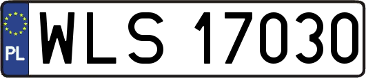 WLS17030