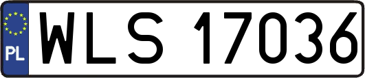 WLS17036
