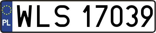 WLS17039