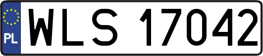 WLS17042