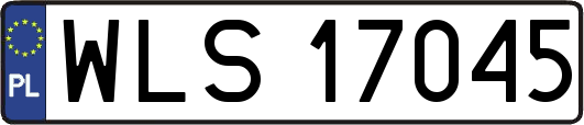 WLS17045