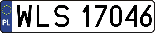 WLS17046