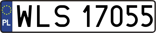 WLS17055