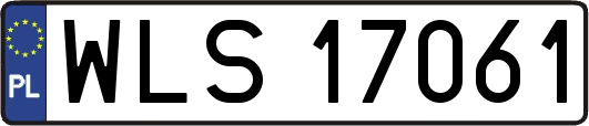 WLS17061