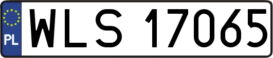 WLS17065
