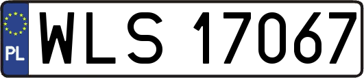 WLS17067