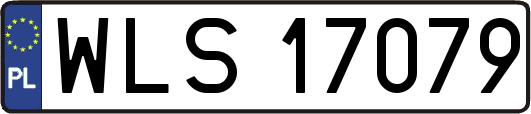 WLS17079