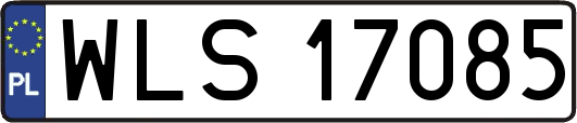 WLS17085