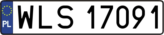 WLS17091