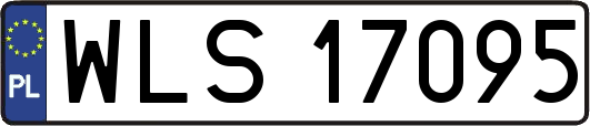 WLS17095
