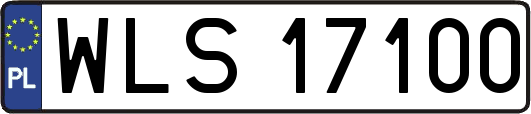 WLS17100