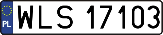WLS17103