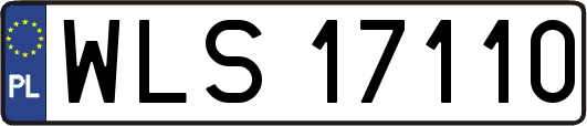 WLS17110