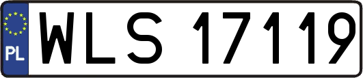 WLS17119
