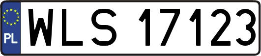 WLS17123