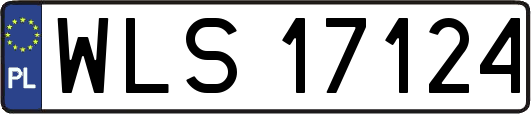 WLS17124