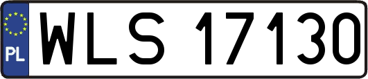 WLS17130