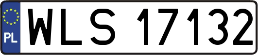 WLS17132