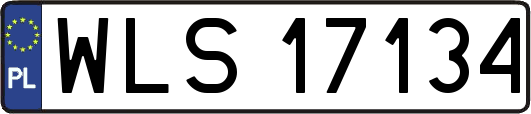 WLS17134