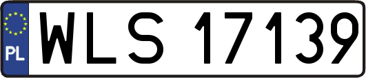 WLS17139
