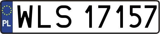WLS17157