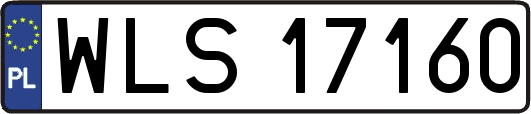 WLS17160